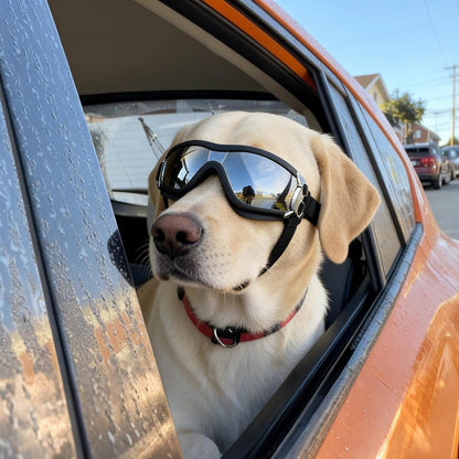 Dog Goggles - Large Dog Eye Protection Goggles Windproof Sunglasses for Medium Large Dog