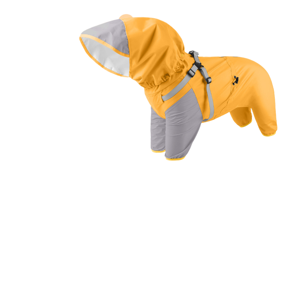 Dog four-legged raincoat